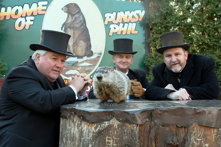 Murmeltier auf einem Baumstumpf und um ihn herum Männer