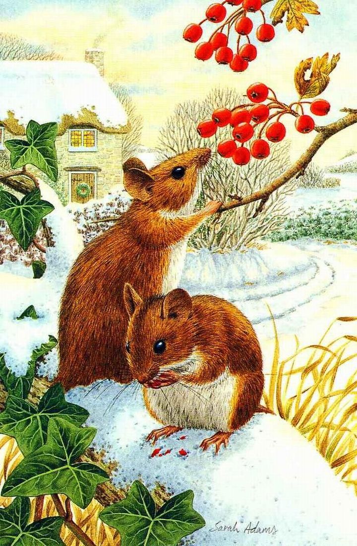 Neujahrskarten bis 2020