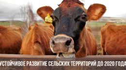 Nachhaltige ländliche Entwicklung bis 2020