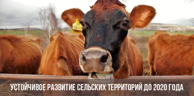 Nachhaltige ländliche Entwicklung bis 2020