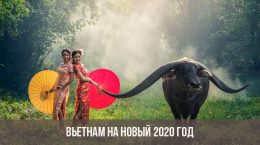 Vietnam für das neue Jahr 2020