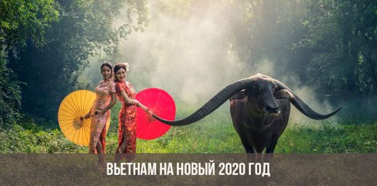 Vietnam für das neue Jahr 2020