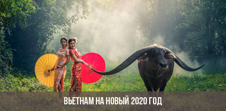 Vietnam für das neue Jahr 2020