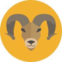 Astro-Prognose für 2020 für Widder