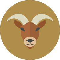 Astro-Prognose für 2020 für Steinbock