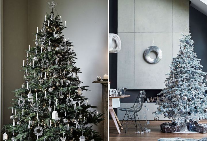 Einfarbige Weihnachtsbäume für neues Jahr.