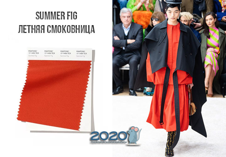 Sommer Feige (Nr. 17-1450) Farbe Panton Winter 2019-2020