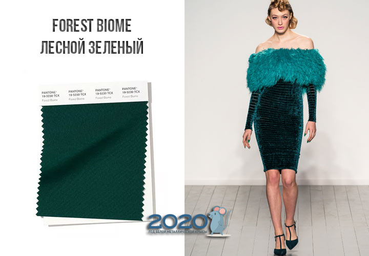 Forest Biome (Nr. 19-5230) Farbe Panton Winter 2019-2020