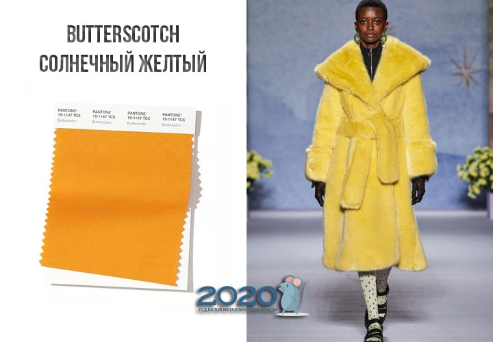 Butterscotch (Nr. 15-1147) Farbe Panton Winter 2019-2020