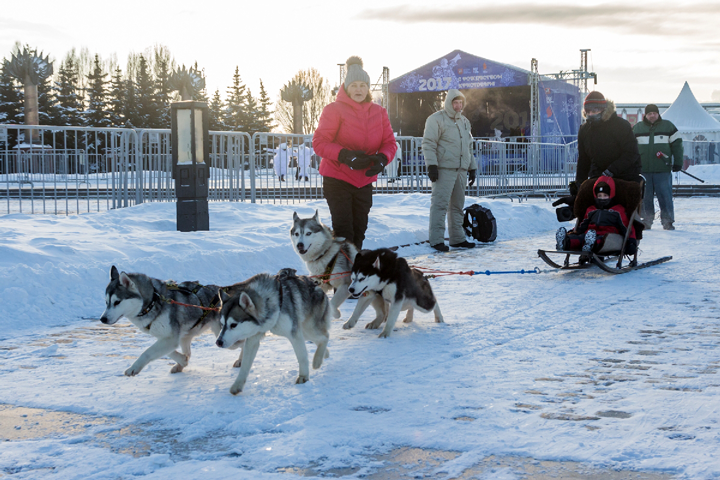 Poklonnaya Gora im Winter