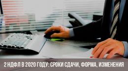 Form 2 Einkommensteuer im Jahr 2020