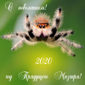 Grußkarte für das Jahr des kommenden Mizgirs