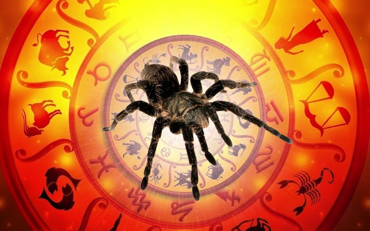 2020 - das Jahr des Spinning Misgir