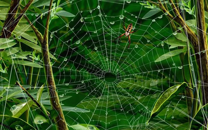 Was wird 2020 das Jahr des kommenden Mizgir bringen