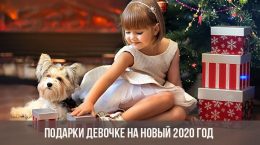Geschenke für das Mädchen für das neue Jahr 2020