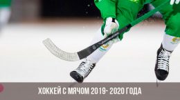 Ballhockey von 2019 bis 2020