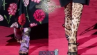 Farbige Strumpfhose Dolce Gabbanna Herbst-Winter 2019-2020