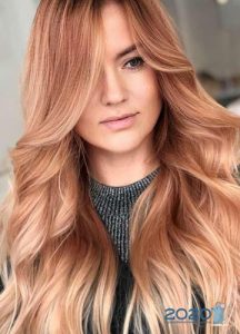 Schmelzen der Shuttles für 2019-2020