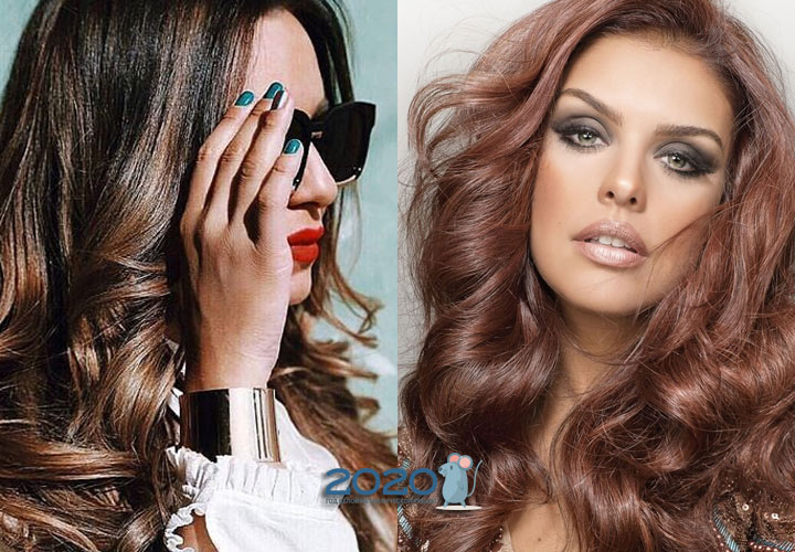 Schildkrötenhervorhebung - Färbetendenzen für 2019-2020