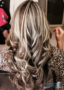 Hervorhebung eines Zebras für 2020