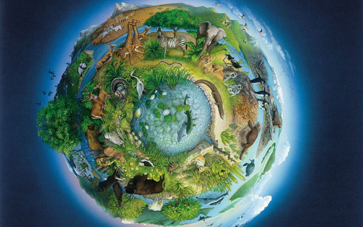 Neu auf der OGE 2020 in Biologie und anderen Fächern