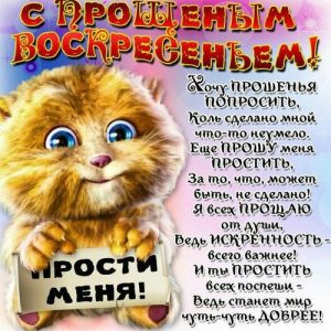 Vergebung Sonntag Grußkarte mit Katze