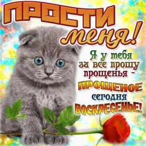 Vergebung Sonntag Grußkarte mit Kätzchen