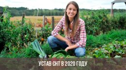 SNT Charter im Jahr 2020