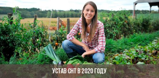 SNT Charter im Jahr 2020