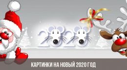 Bilder für das neue Jahr 2020