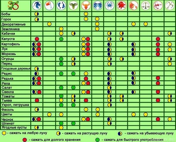 Tischkulturen für die Mondphasen 2020