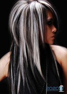 Weißes hervorhebendes Zebra auf schwarzem Haar