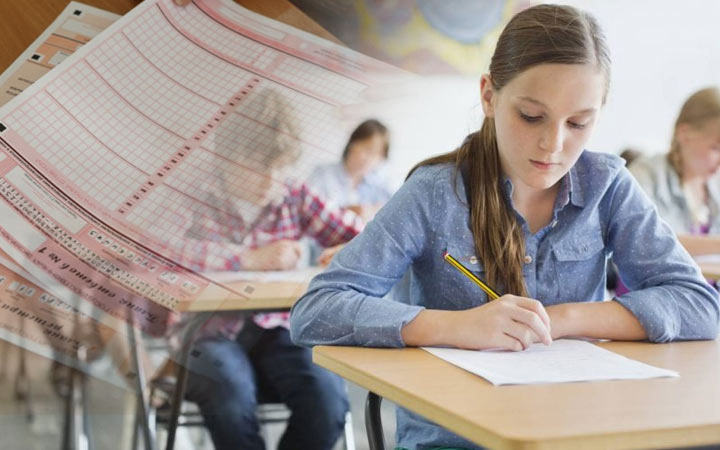 OGE-Bewertung in der Biologie im Jahr 2020