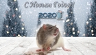 Symbol von 2020 - Ratte