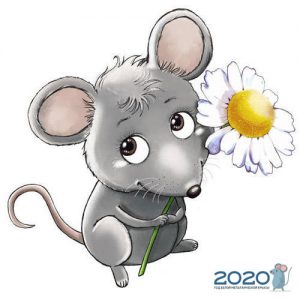 Ratte mit einer Kamille - Foto für 2020