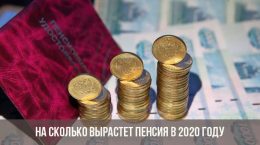 Wie viel Rente wird im Jahr 2020 wachsen
