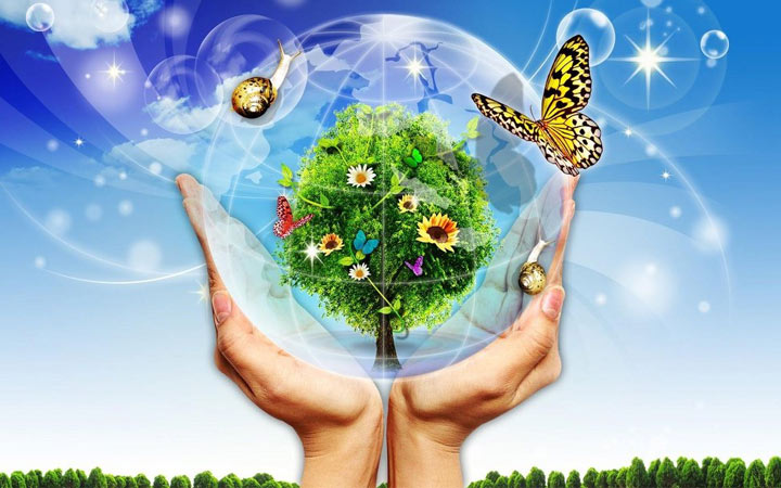 USE 2020 in der Biologie - Änderungen, Termine, Vorbereitung