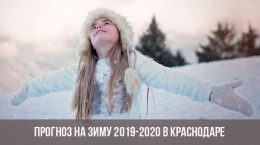 Winter in Krasnodar 2019-2020