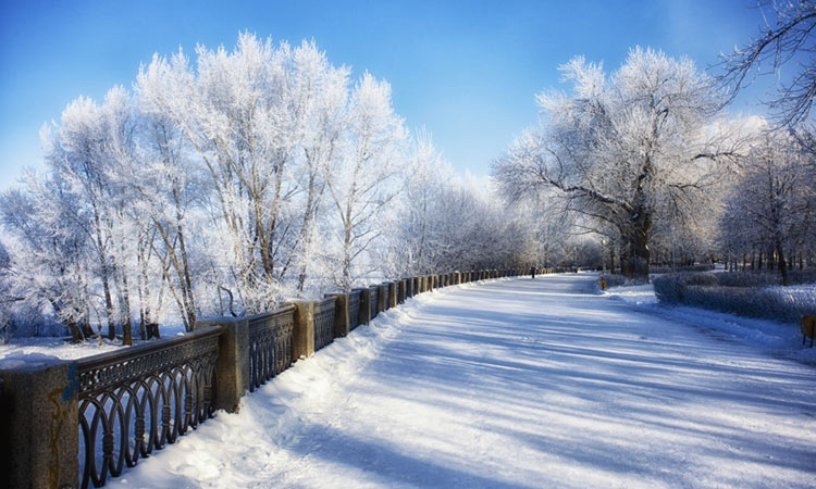 Was wird der bevorstehende Winter 2019-2020 in Samara und der Region sein