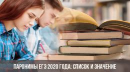 Die USE 2020-Paronyme: Liste und Bedeutung