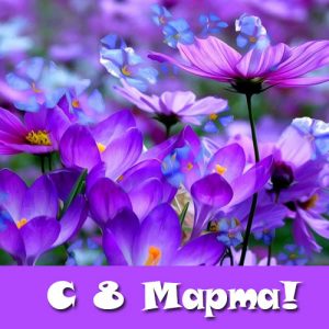 Mini-Karte für den 8. März 2020