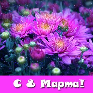 Mini-Karten und Wünsche in Versen am 8. März 2020