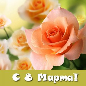 Glückwünsche, Wünsche, Karten exklusiv bis 8. März 2020