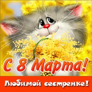 Grußkarte am 8. März mit einem Kätzchen für Schwester