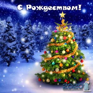 Weihnachtsminikarte für 2020