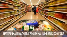 Planen Sie Pyaterochka und Magnet im neuen Jahr