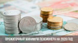 Das Existenzminimum des Rentners für 2020